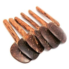 Thenga Coconut Shell Masala Spoon Set of 6 for Small Containers | Handmade & Eco-friendly | For Tea, Coffee, Sugar, Spices