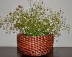 Dharini Water Hyacinth Round Basket (Natural-Red)