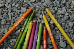bioQ Box of 50 Plantable Seed Pencils | Eco Friendly Box for Offices