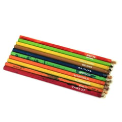 bioQ Box of 50 Plantable Seed Pencils | Eco Friendly Box for Offices