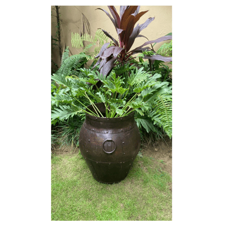 Khoj Crafts - Vanya ( Medium) : Vintage Metal planter